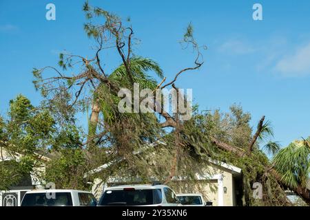 Danni al tetto della casa della Florida causati da un albero sradicato dopo l'uragano. Richiesta di assicurazione sulla casa distrutta. Conseguenze del concetto di calamità naturale Foto Stock