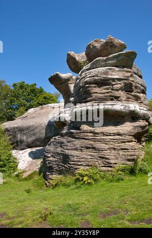 Orso danzante, Brimham Rocks, Brimham Moor, Summerbridge, Harrogate, Nidderdale, Yorkshire, Inghilterra Foto Stock