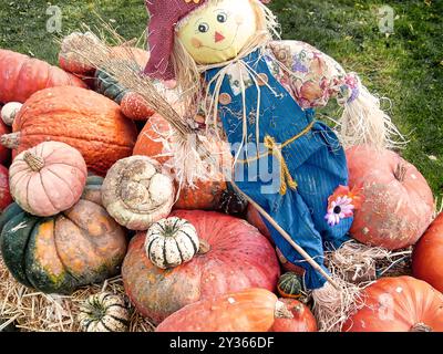 Una divertente bambola di paglia con tuta blu si trova accanto a un gruppo di zucche, osservando con amore lo splendore autunnale - l'autunno è tempo di zucca, germania Foto Stock