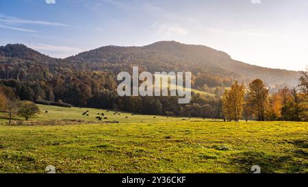 Un tranquillo paesaggio autunnale si dispiega sul monte Sedlo, mostrando fogliame vibrante, colline ondulate e bestiame al pascolo sotto un cielo luminoso e soleggiato. La bellezza della natura è in piena mostra. Foto Stock