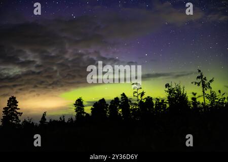 Uno splendido cielo notturno caratterizzato da una miscela di stelle e aurore colorate, con alberi sagomati in primo piano sullo sfondo di nuvole e vibran Foto Stock