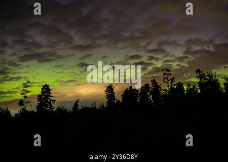 Uno splendido cielo notturno caratterizzato da vivaci aurore verdi che danzano tra le nuvole, alberi sagomati in primo piano e un pizzico di stelle scintillanti nella b Foto Stock