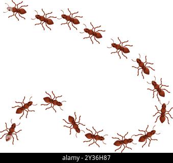 Una colonia di formiche rosse si sta seguendo a vicenda, formando una forma a spirale Illustrazione Vettoriale