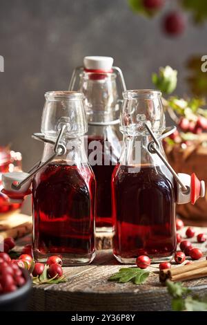 Tre bottiglie di vino medicinale preparate da bacche di biancospino fresche e spezie Foto Stock