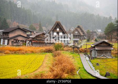 Vista panoramica di un villaggio rurale giapponese con case tradizionali in stile Gassho, circondato da risaie e nebbiose montagne boschive in autunno. Foto Stock