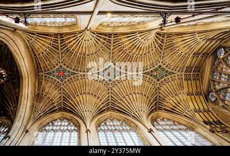 Bath, Inghilterra - 05-29-2024: Soffitto a volta a ventaglio dell'Abbazia di Bath a Bah, Inghilterra Foto Stock
