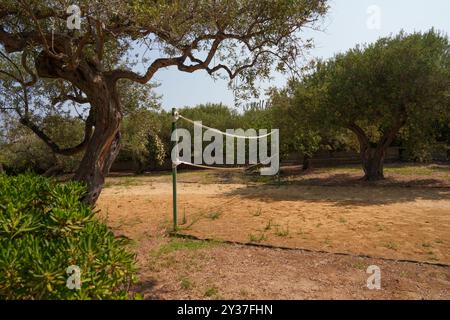Rete da pallavolo all'aperto in un Sunny Olive Grove Foto Stock