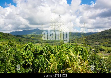 Kilauea Point con riserva naturale sopra la baia turchese sulla costa settentrionale di Kauai nelle Hawaii Foto Stock