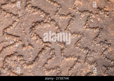 Simbolo preistorico, petroglifo, deposito roccioso di Ait Ouazik, tardo Neolitico, Marocco, Africa Foto Stock