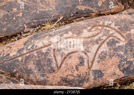 petroglyph, ungulato preistorico, deposito roccioso di Aint Ouazik, tardo Neolitico, Marocco, Africa Foto Stock