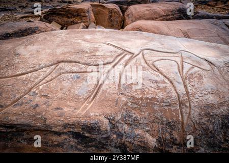 petroglyph, ungulato preistorico, deposito roccioso di Aint Ouazik, tardo Neolitico, Marocco, Africa Foto Stock