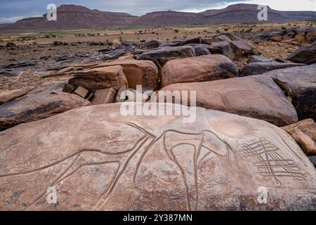 petroglyph, ungulato preistorico, deposito roccioso di Aint Ouazik, tardo Neolitico, Marocco, Africa Foto Stock