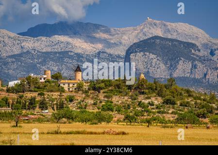 Un tradizionale mulino a vento a Santa Eugènia, all'inizio dell'estate, con le montagne della Serra de Tramuntana e la cima principale del Puig sullo sfondo, Maiorca Foto Stock