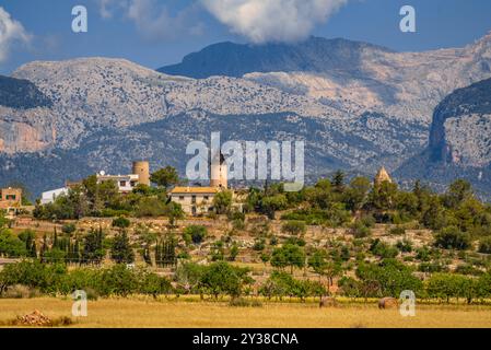 Un mulino a vento tradizionale a Santa Eugènia, all'inizio dell'estate, con le montagne della Serra de Tramuntana sullo sfondo (Maiorca, Isole Baleari, Spagna) Foto Stock