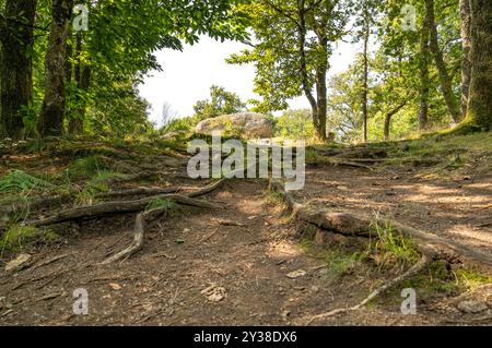 I massi granitici del Pierres Jaumâtres, un gioiello naturale del Limousin , dipartimento della Creuse, vicino a Boussac Foto Stock