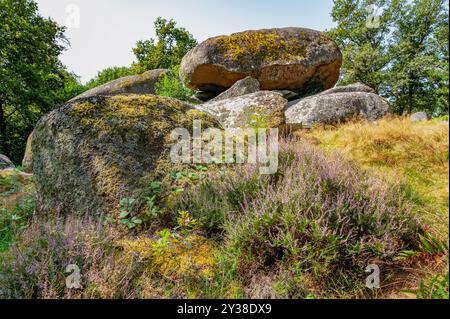 I massi granitici del Pierres Jaumâtres, un gioiello naturale del Limousin , dipartimento della Creuse, vicino a Boussac Foto Stock