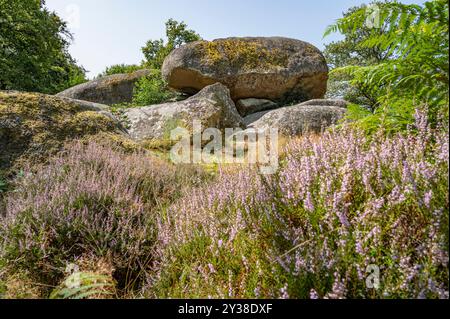 I massi granitici del Pierres Jaumâtres, un gioiello naturale del Limousin , dipartimento della Creuse, vicino a Boussac Foto Stock