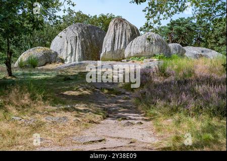 I massi granitici del Pierres Jaumâtres, un gioiello naturale del Limousin , dipartimento della Creuse, vicino a Boussac Foto Stock