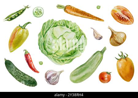 Set di verdure. Cavolo, cetriolo, zucchine, pomodori, aglio, cipolla, piselli, pepe. Illustrazione ad acquerello disegnata a mano isolata. Carte, etichette, pacchetti Foto Stock