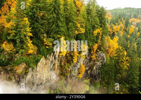 Fogliame autunnale su una scogliera rocciosa che si affaccia su lussureggianti foreste. Foto Stock