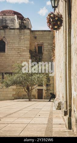 Città di Oaxaca, Messico. Architettura della chiesa messicana di Santo domingo Foto Stock