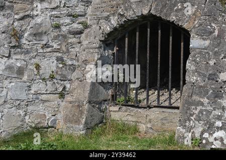 Vecchio ingresso alle rovine di un castello antico Foto Stock