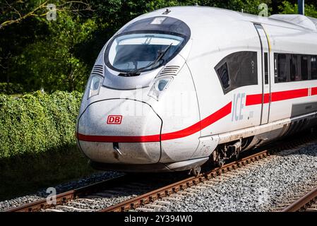 12 settembre 2024, DRIEBERGEN-RIJSENBURG - Un DB ICE 3neo diretto alla stazione di Amsterdam Central passa Driebergen-Zeist. ANP / Hollandse Hoogte / Tobias Kleuver netherlands Out - belgio Out Foto Stock