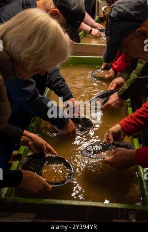 Tankavaara, Finlandia - 07.01.2024: Ricerca dell'oro dei turisti nel Tankavaara Gold Village in Finlandia Foto Stock