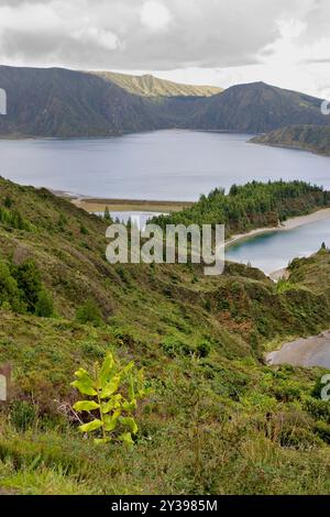 Lago Lagoa do Fogo nelle Azzorre, Azzorre, Sao Miguel, Lagoa do Fogo, Ribeira grande Foto Stock