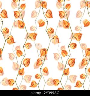 Autunno arancio physalis bacche su rami secchi, senza foglie fiori secchi. Illustrazione disegnata a mano in acquerello. Motivo senza cuciture su sfondo bianco Foto Stock