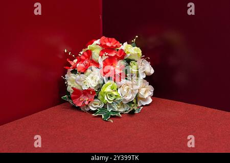 Rosa rossa e bianca in pentola su tappeto rosso. Fiori Foto Stock