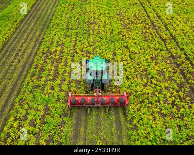 Vista aerea dell'agricoltore che lavora sul campo con trattore presso Drem nell'East Lothian, Scozia, Regno Unito Foto Stock