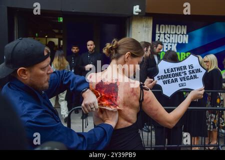 Londra, Regno Unito. 13 settembre 2024. Un attivista della PETA è "scuoiato vivo" fuori dallo spazio espositivo della London Fashion Week NEWGEN nello Strand. L'azione fa parte della campagna PETA in corso contro la pelle. Crediti: Vuk Valcic/Alamy Live News Foto Stock