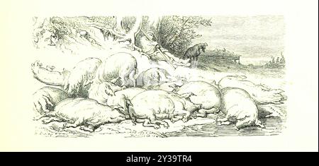Porks - immagine tratta da pagina 413 di 'Voyage aux Pyrénées ... Troisième édition illustrée par Gustave Doré' Foto Stock