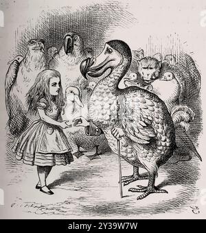 Lewis Carrol - Alice incontra la Dodo Art di John Tenniel for Alices Adventures in Wonderland by Lewis Carroll 1866 Foto Stock