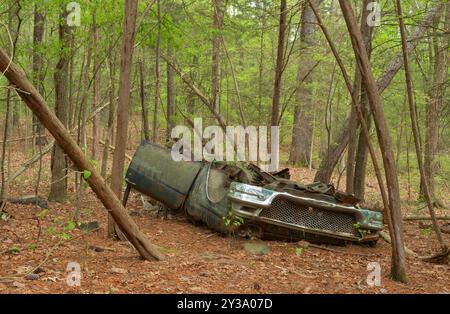 Auto abbandonata che è vecchia di decenni e lasciata a marcire al rovescio nella foresta vicino al lago Jordan, nella Carolina del Nord. Foto Stock