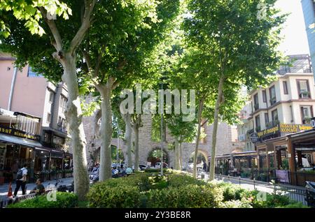 Acquedotto di Valens, Fatih, Istanbul, Turchia, Europa-Asia Foto Stock