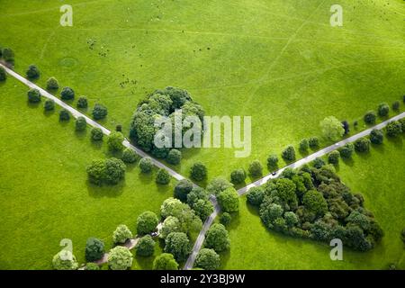 Una splendida vista aerea che mostra lussureggianti campi verdi con sentieri alberati che formano motivi geometrici nel paesaggio. Foto Stock