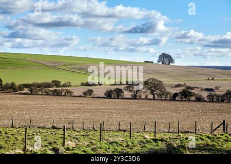 Idilliaca scena rurale che raffigura colline ondulate, campi verdi e un cielo blu con soffici nuvole. L'immagine cattura l'essenza pacifica del paese Foto Stock