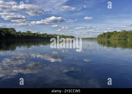 Cielo e alberi che si riflettono nel fiume Juruena, alta Floresta, Amazzonia, Brasile, Sud America Foto Stock