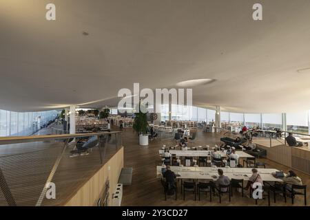 Primo piano, Biblioteca centrale e Centro culturale di Oodi, progetto di ala Architects, Helsinki, Finlandia, Europa Foto Stock