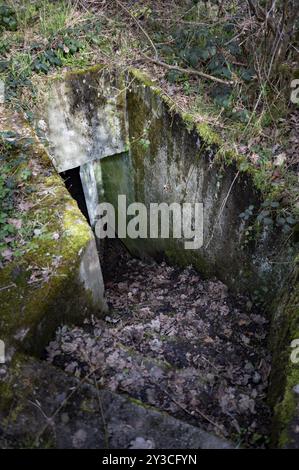 Scendendo nel bunker Cheneux, seconda guerra mondiale, costruito nel 1933-1936, Ardenne Offensive, scale intemprate e coperte di foglie, bagnate, muri fino al le Foto Stock