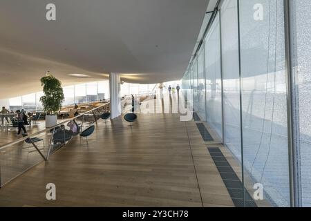 Primo piano, Biblioteca centrale e Centro culturale di Oodi, progetto di ala Architects, Helsinki, Finlandia, Europa Foto Stock