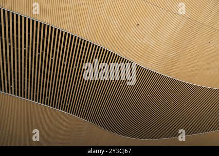 Costruzione di tetti, Biblioteca centrale e Centro culturale di Oodi, progetto di ala Architects, Helsinki, Finlandia, Europa Foto Stock