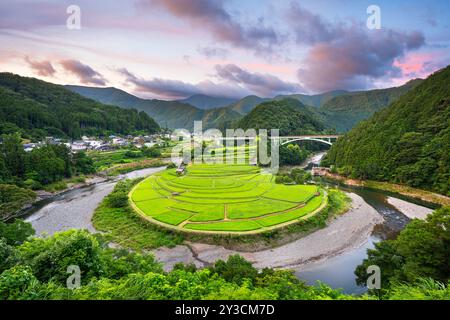 Terrazza di riso Aragijima a Wakayama, Giappone. Foto Stock
