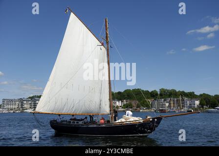 Gaff marinai alla Rum Regatta, Flensburg, Schleswig-Holstein, Germania, Europa Foto Stock