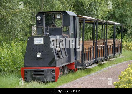 Il treno a scartamento ridotto con carrozze aperte sorge su un binario tra vegetazione verde, geeste, emsland, germania Foto Stock