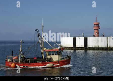 Fresa per granchio a Buesum, Schleswig-Holstein, Germania, Europa Foto Stock