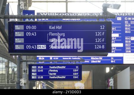 Bacheche presso la stazione centrale di Amburgo, Amburgo, Germania, Europa Foto Stock