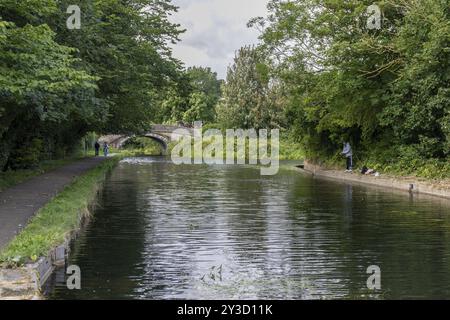 Stone Bridge 108, ponte ad arco in pietra sul canale di Lune e acquedotto, Lancashire, Inghilterra, Gran Bretagna Foto Stock